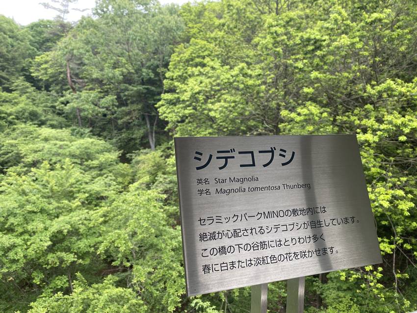 この植物を危惧して わざわざ回...