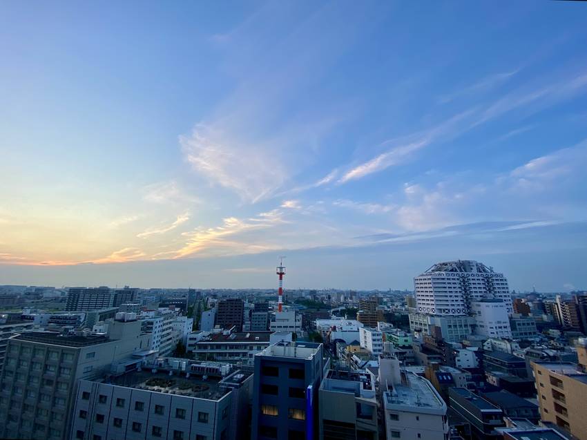 朝になるとわかるけど 静かな素...