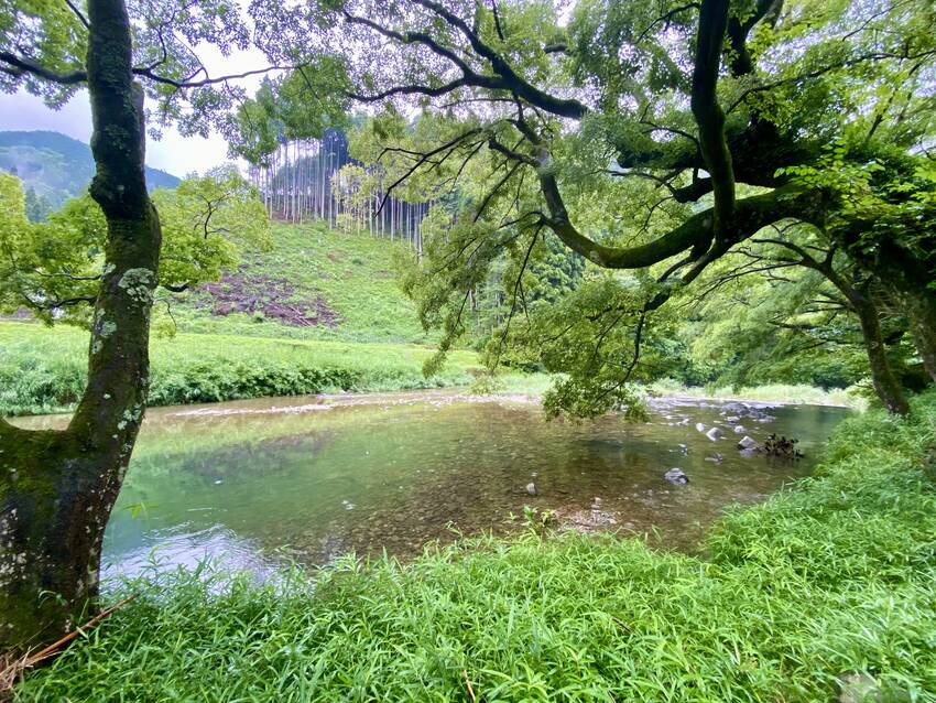 昔泳いだ近所の『淵』 随分景観...