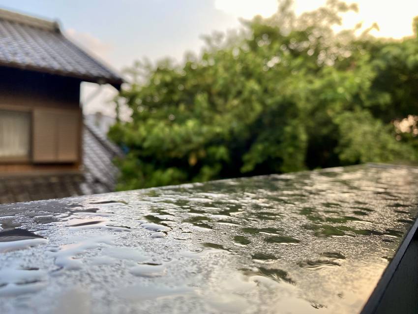 始めはさあ〜 風流に遠雷を楽し...