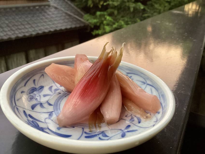 この赤い？紅い？朱い色が なん...