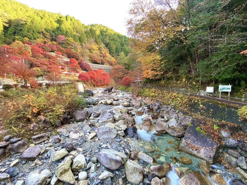 紅葉と水の美しさに眩暈がします...