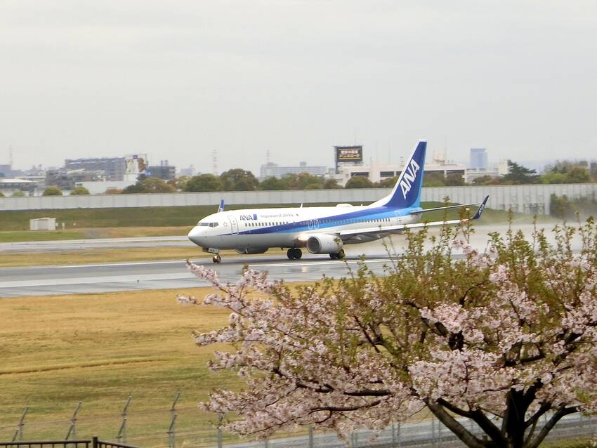 B737