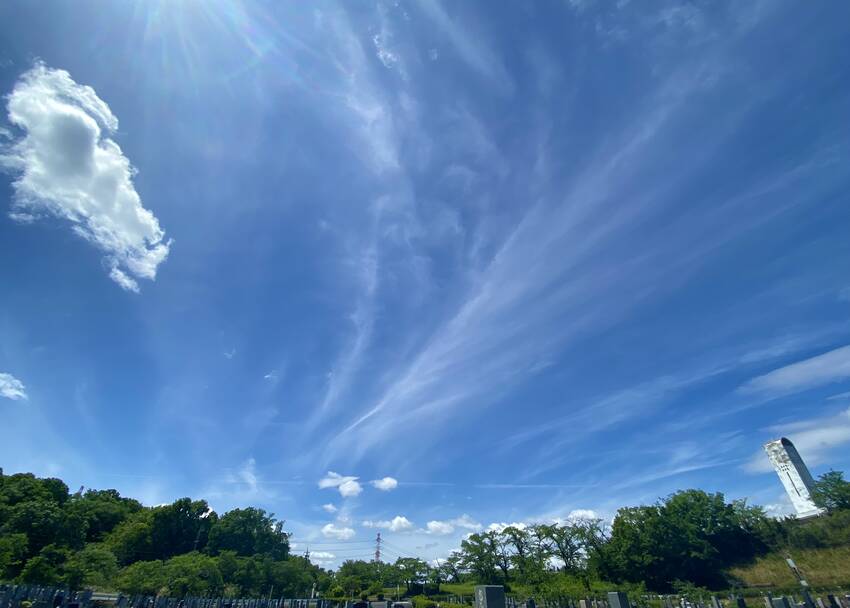 杜も空もなんだか凄く爽やかな ...