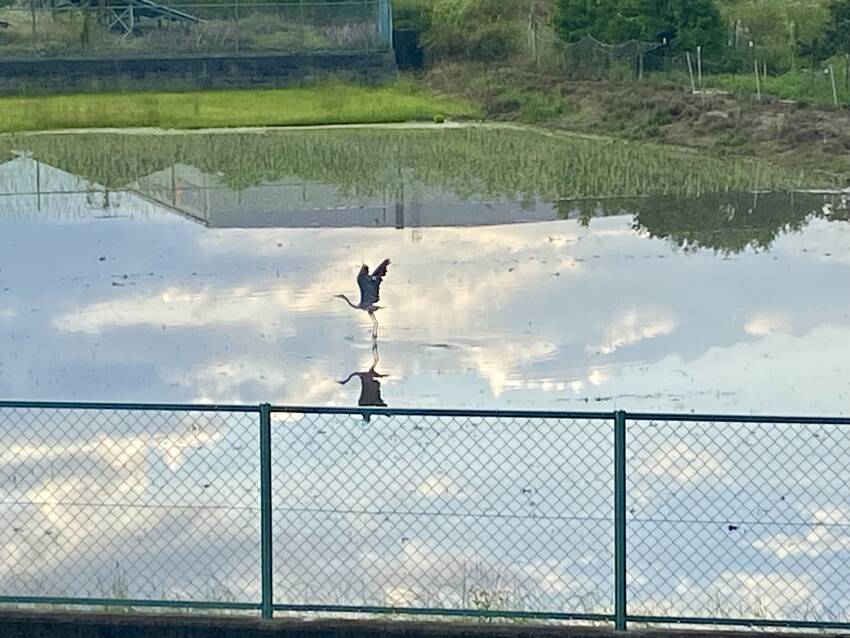 おーー！と思わず声上げちゃった...