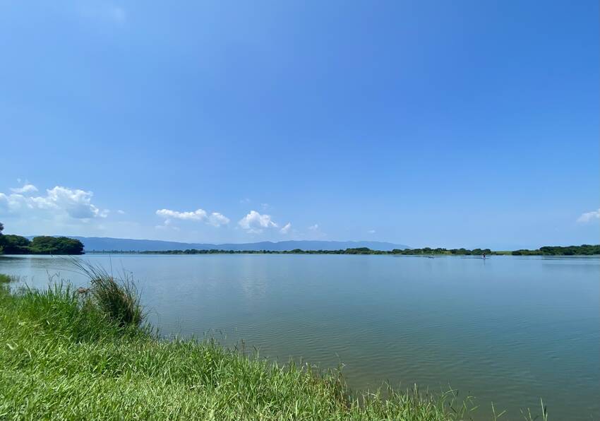 岸辺が入るとやっぱり川かあ〜っ...
