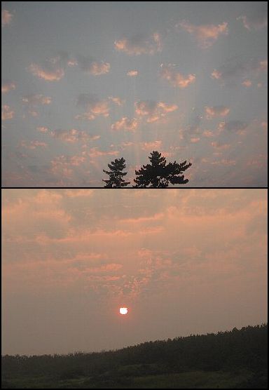 今日も暑くなりそうです。