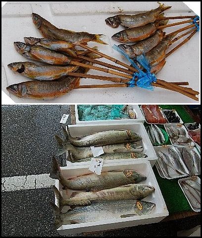 魚の値段