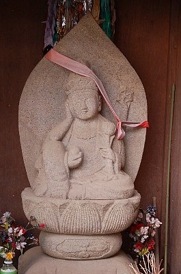 自然の宝庫-4