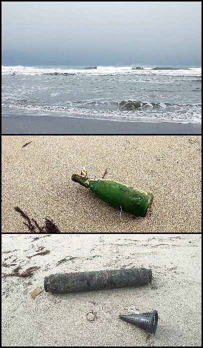 海からの贈り物