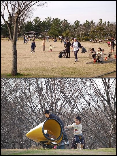 真冬の公園にて