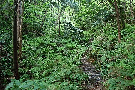 低山逍遥 其之四