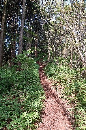 低山逍遥 其之六