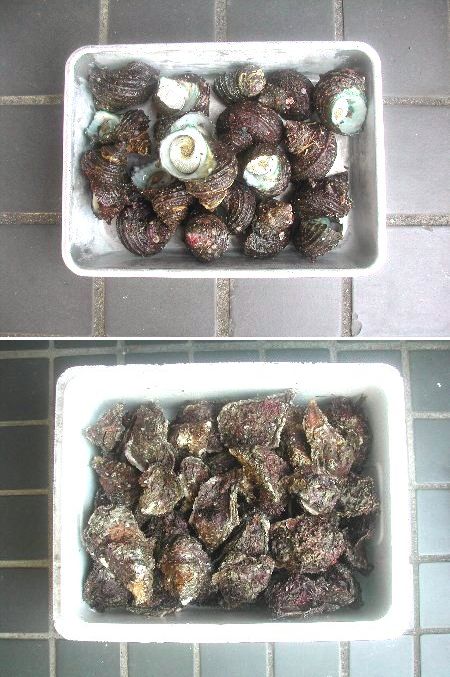 自然の恵みに感謝