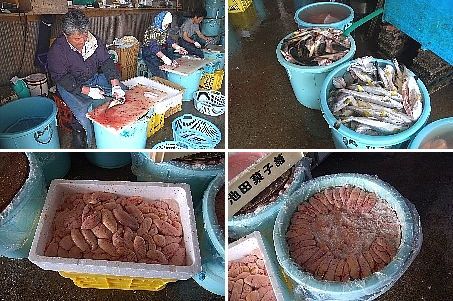 佐渡歩行周遊紀行-23