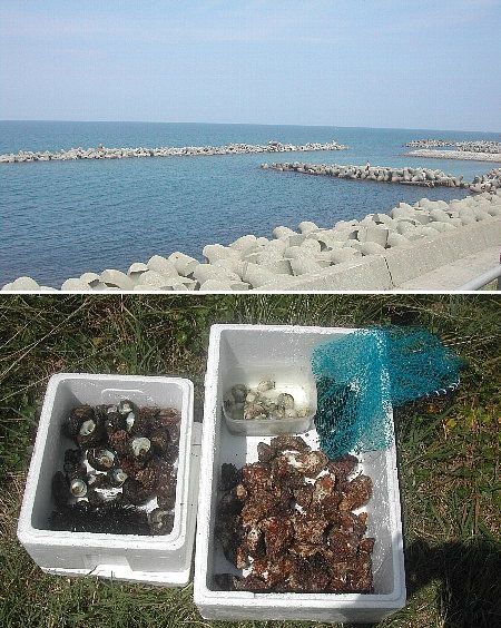 豊穣な海