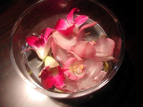 まだ元気してます
