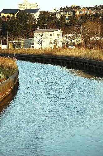 残念ながら