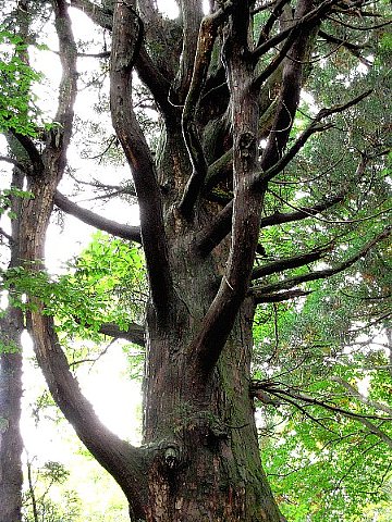 低山での遭遇