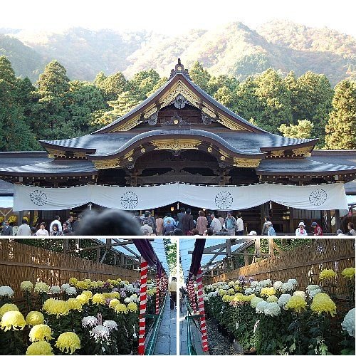 参道の両側には