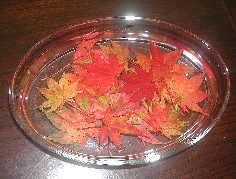 秋の深まりを
