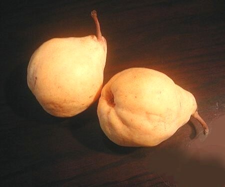 味わった事はありますか？