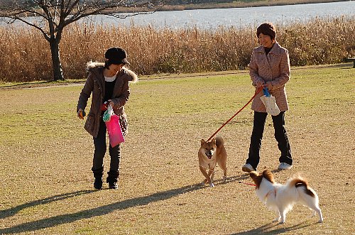 冬の日差しを浴びて