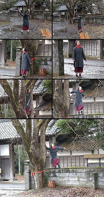 解釈の難しさ-4