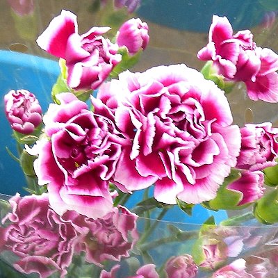 花-1