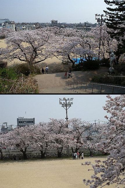 校庭には