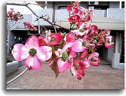 町の街路に
