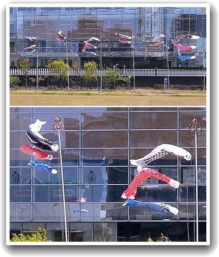 皐月の風に吹かれて