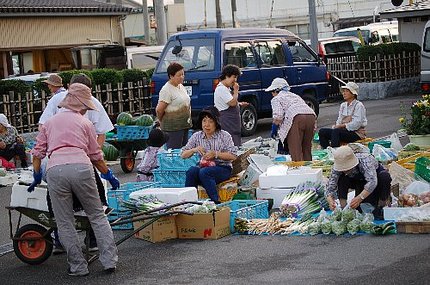 朝市では