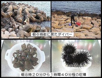 漸く、初ダイビイング