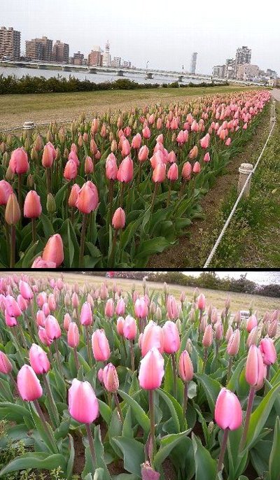 もう少しで