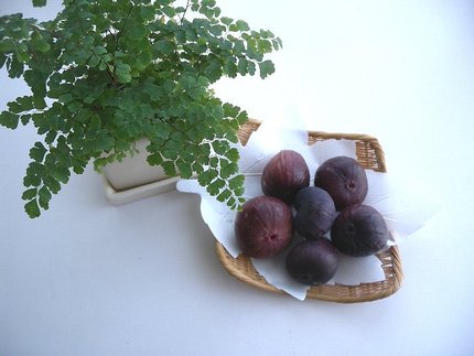 秋の果物が出回ります