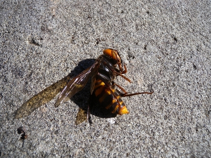 自然界の厳しさ