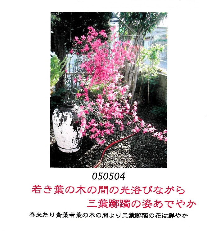 2024/01/26　朝の随想