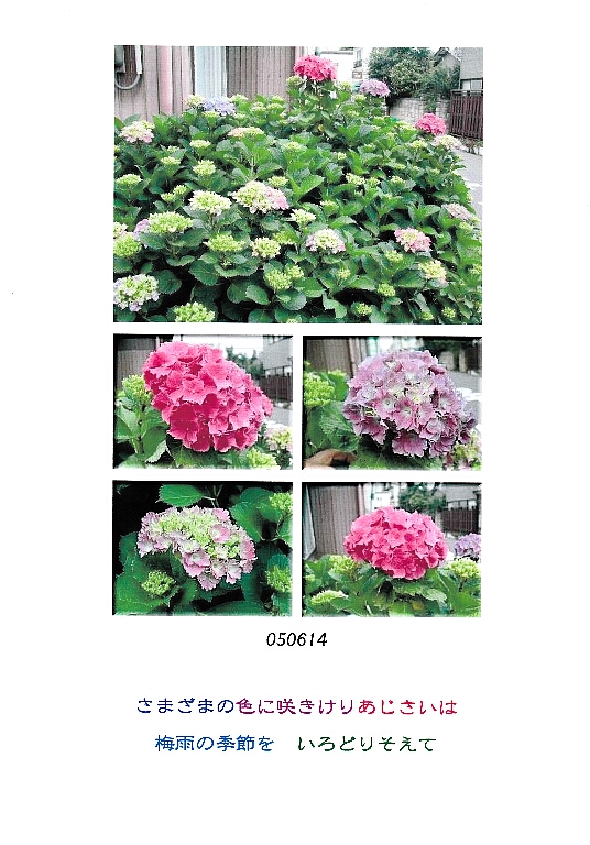 2024/02/13　朝の随想