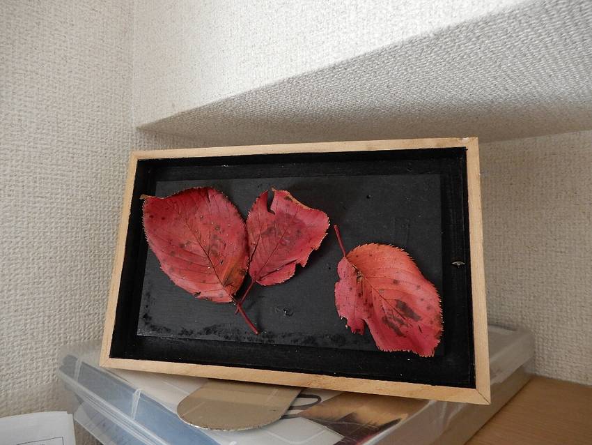 2024/10/19　朝の随想
