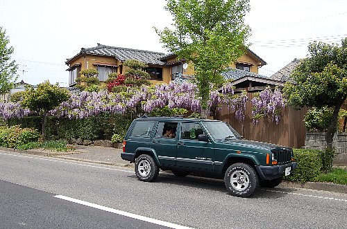 2025/04/20　朝の随想