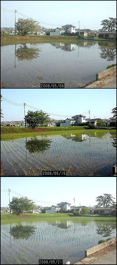 季節のうつろい