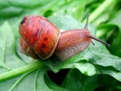 そろそろ活動に入ります