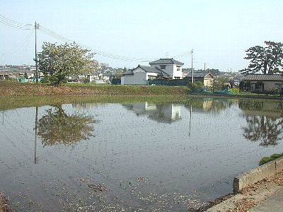 昨年と同じショット