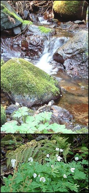 低山　遊々-2
