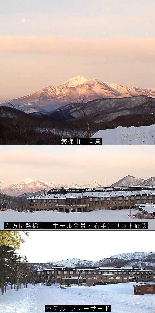 朝日を浴びて