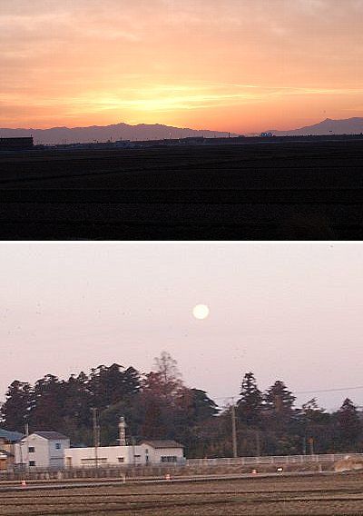 春の兆し