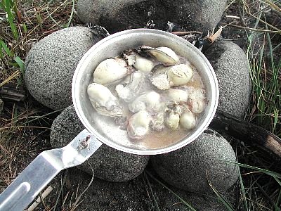 こんな食事はいかが？