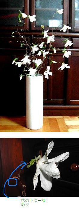 早起きは三文の得