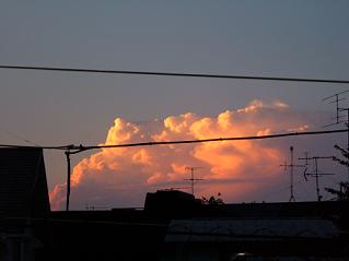 当たらない天気予報 （カーネル...